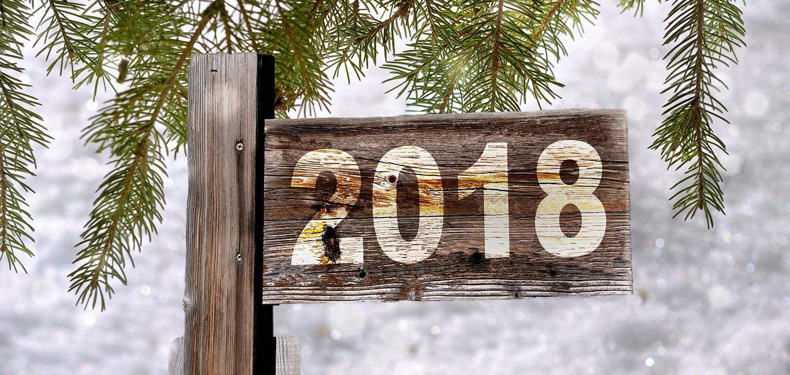 numero 2018 puisessa kyltissä